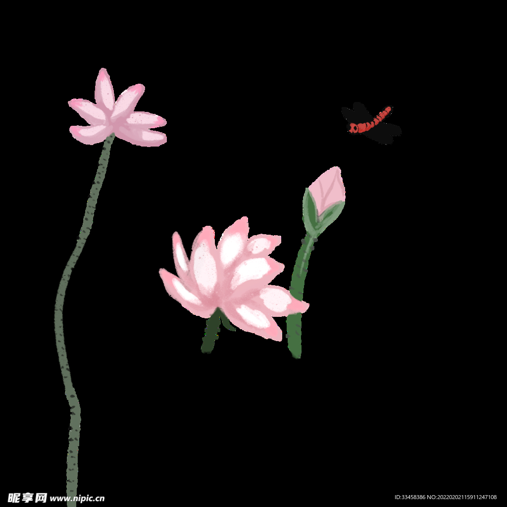 中国风荷花国画水墨
