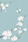 立春桃花蓝色