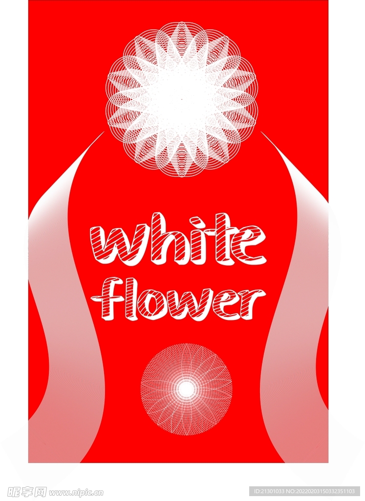 白色线条花