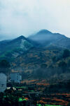 山