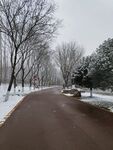 路