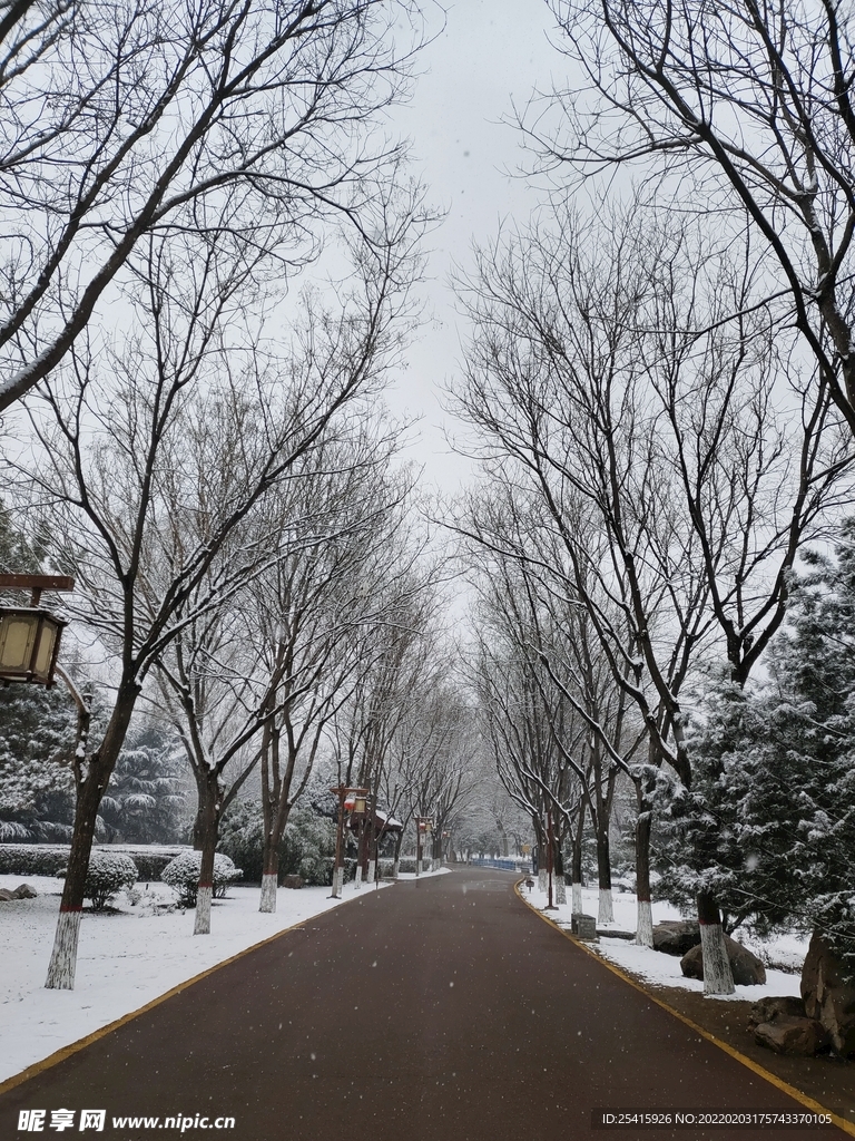 路