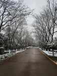 路