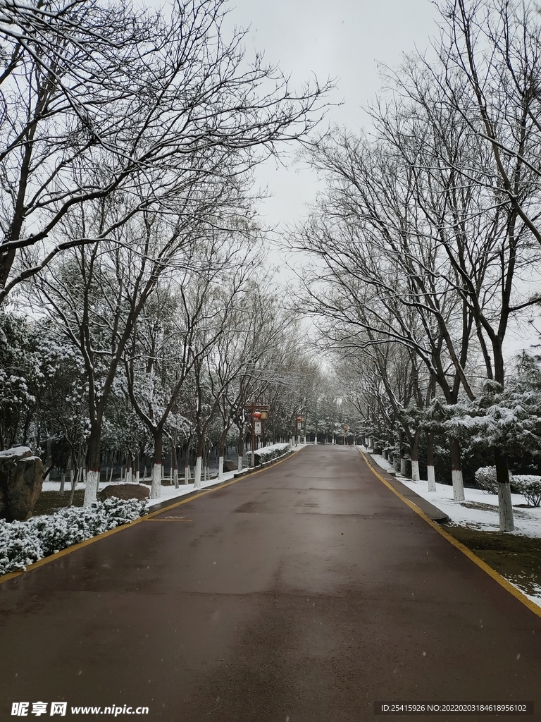 路