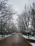 路