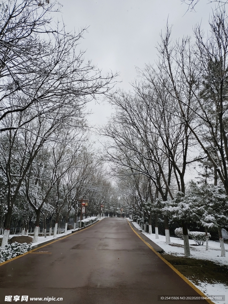 路