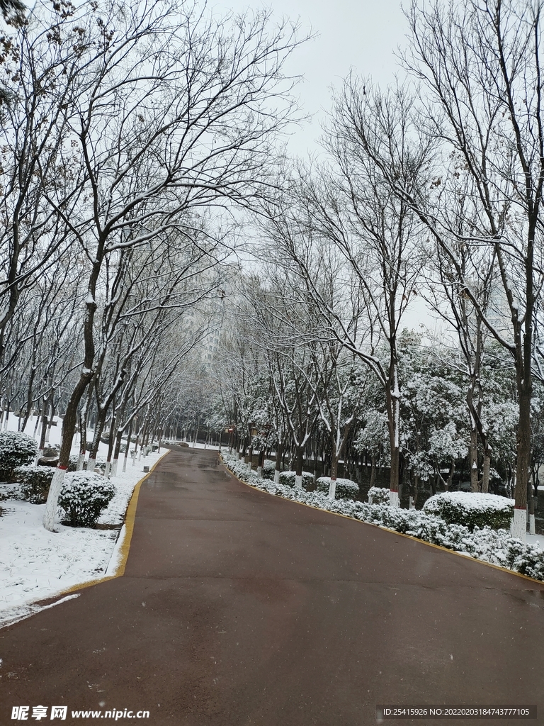 路