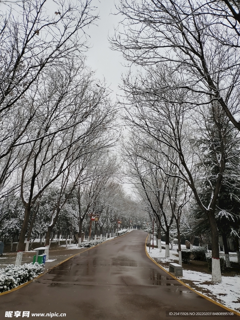 路