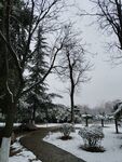 路