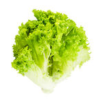 生菜