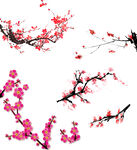 梅花