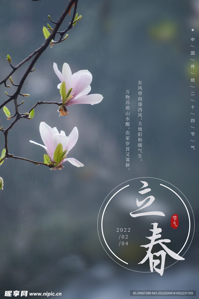 立春海报 