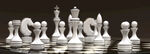 象棋             
