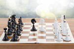 象棋             