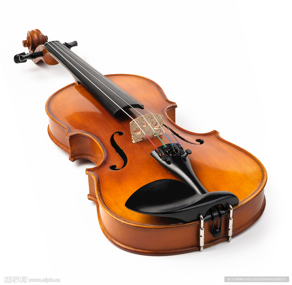小提琴            