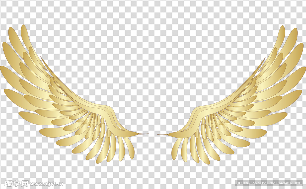 翅膀 