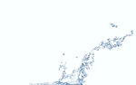 水滴 水珠 