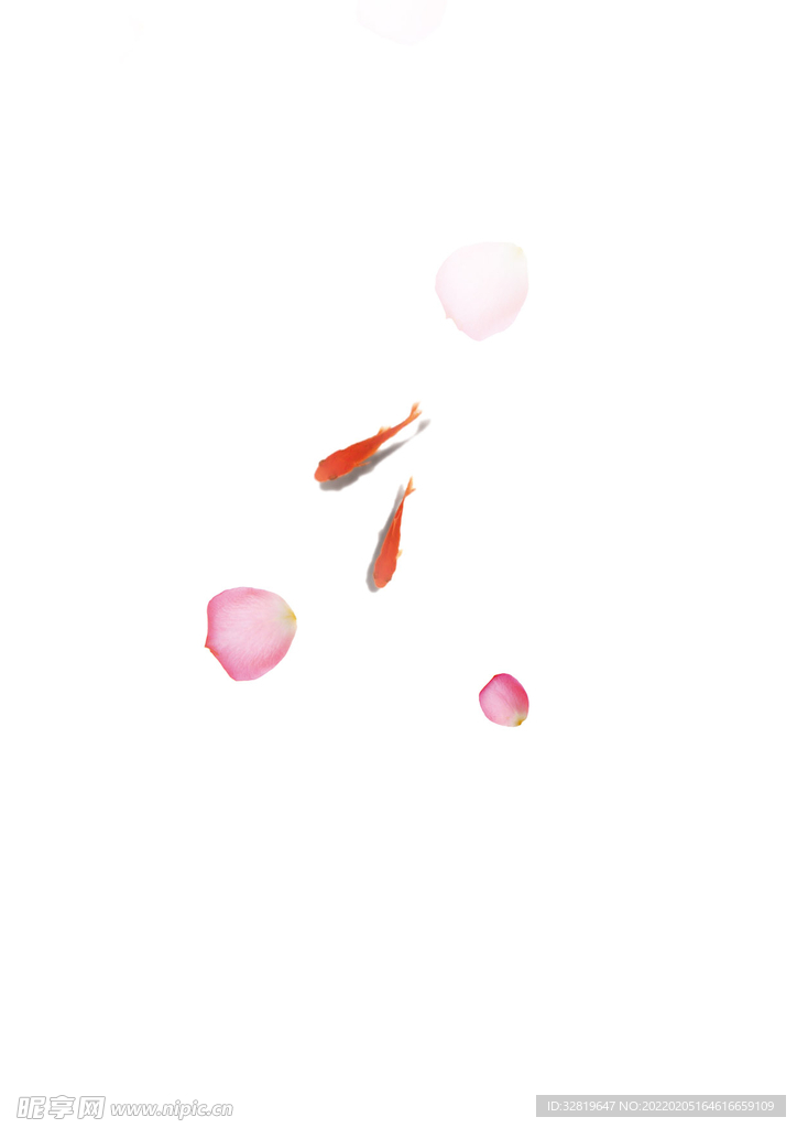 花瓣、金鱼