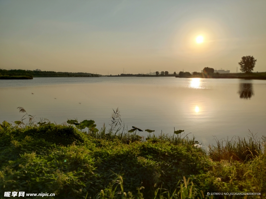 夕阳湖水落日黄昏河边草地