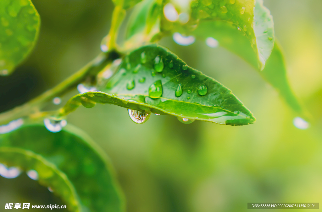 雨水时节主题