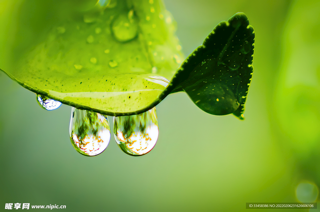 24节气雨水时节主题