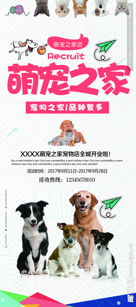 宠物店展架