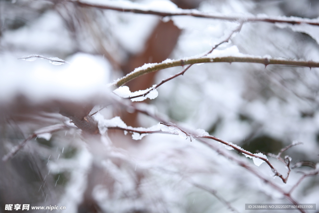 冰 雪