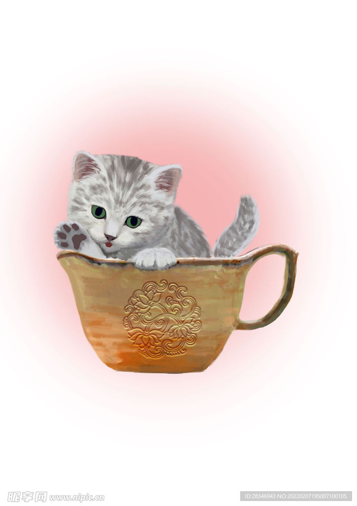 猫