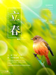 立春             
