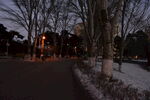 冬季公园散步小路道路