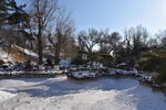 冬季公园树林积雪雪景