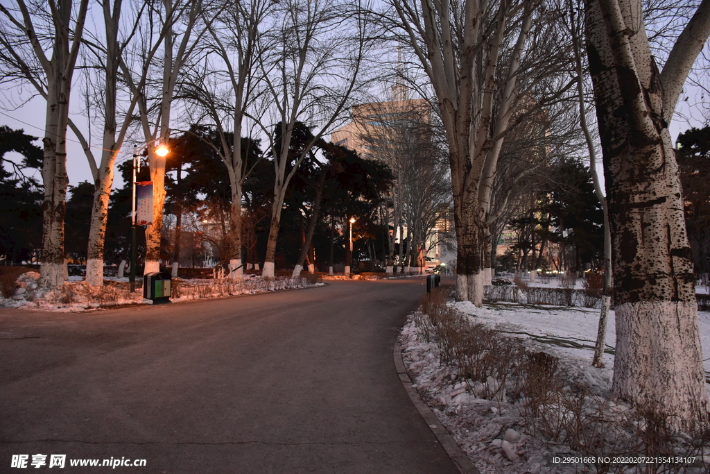 冬季公园散步小路道路