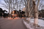 冬季公园散步小路道路