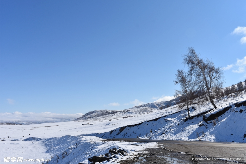 郊外雪地雪景