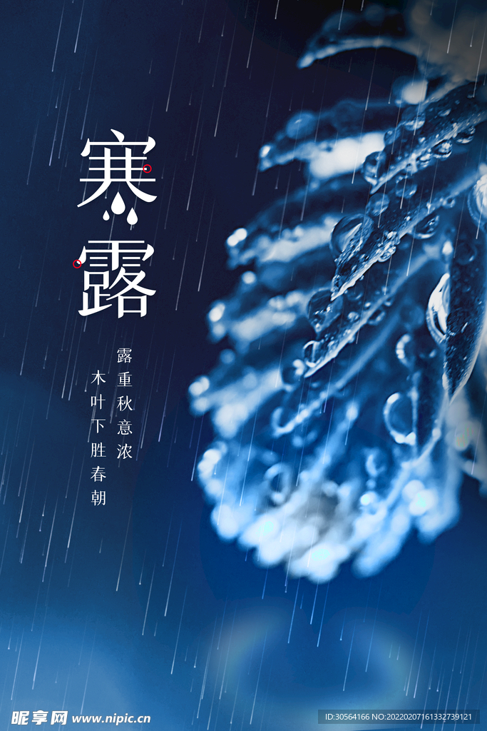 寒露