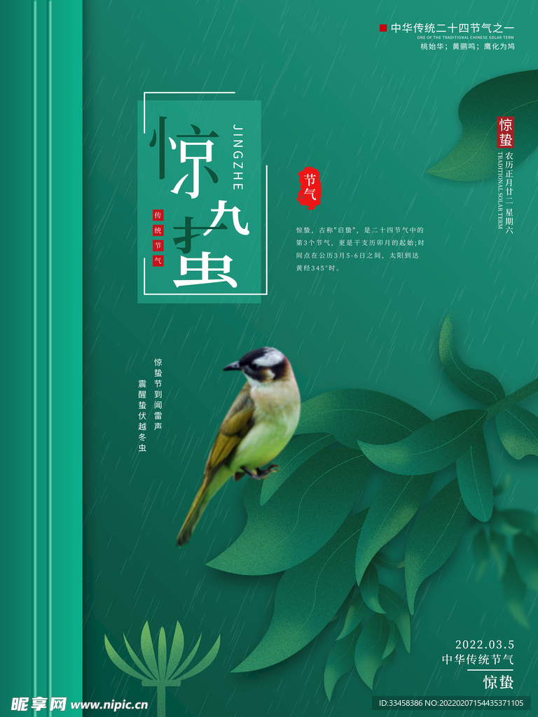 手绘惊蛰摄影图节日节气