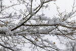 下雪