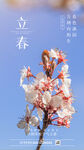 立春海报