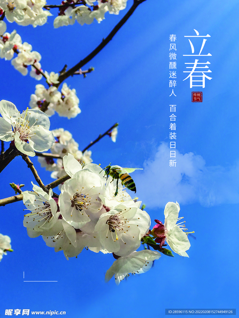 立春             