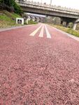 跑道公园绿道 