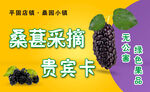 桑葚贵宾卡   