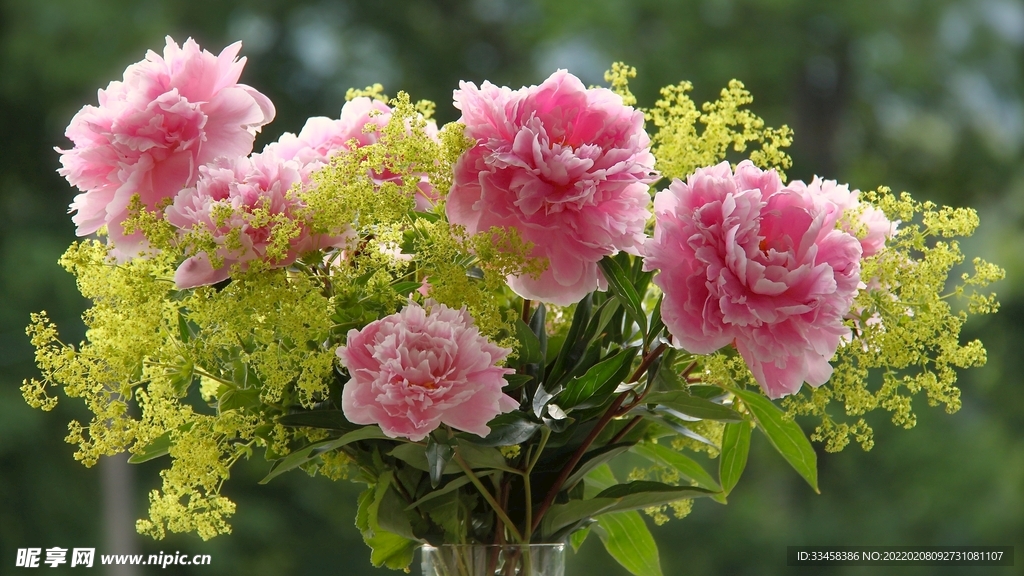 鲜花壁纸