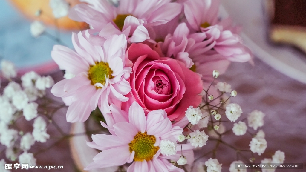 鲜花壁纸