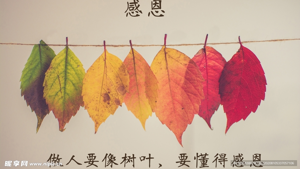 清新壁纸