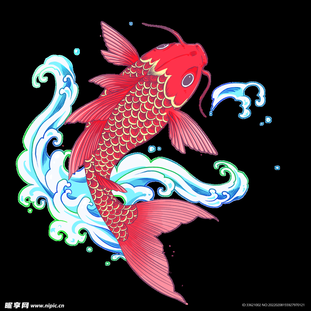 锦鲤  金鱼插画  国潮素材 