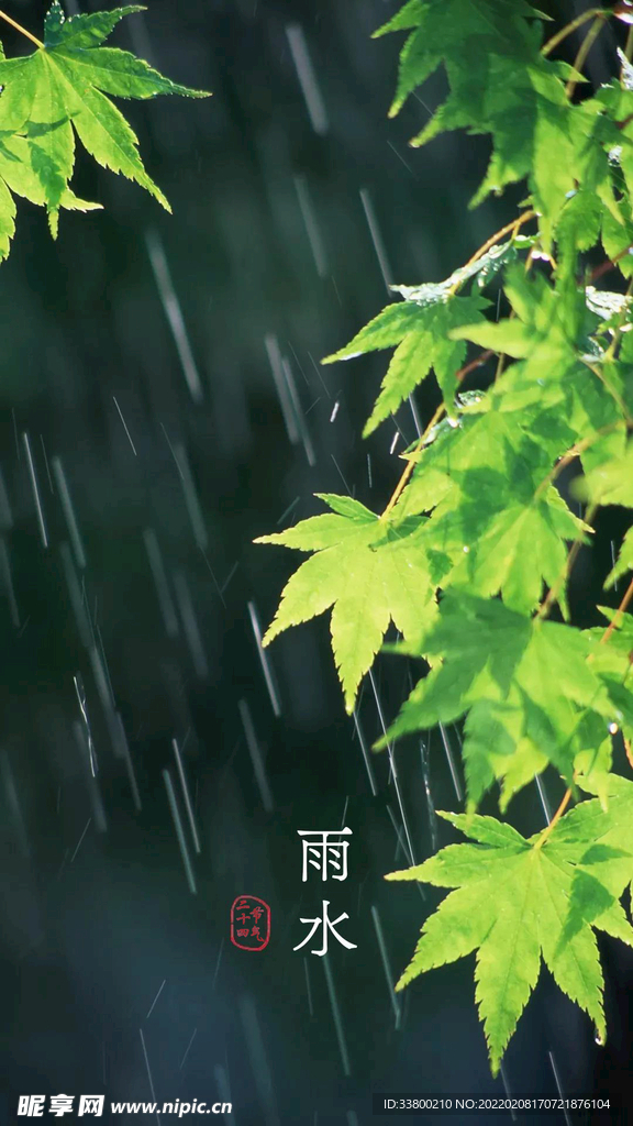 雨水