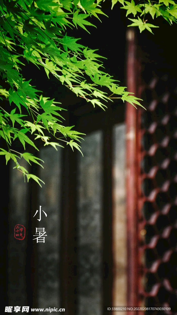小暑