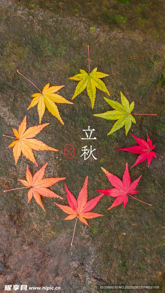 立秋