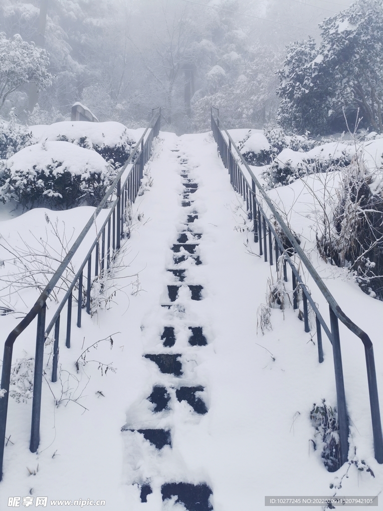 雪景