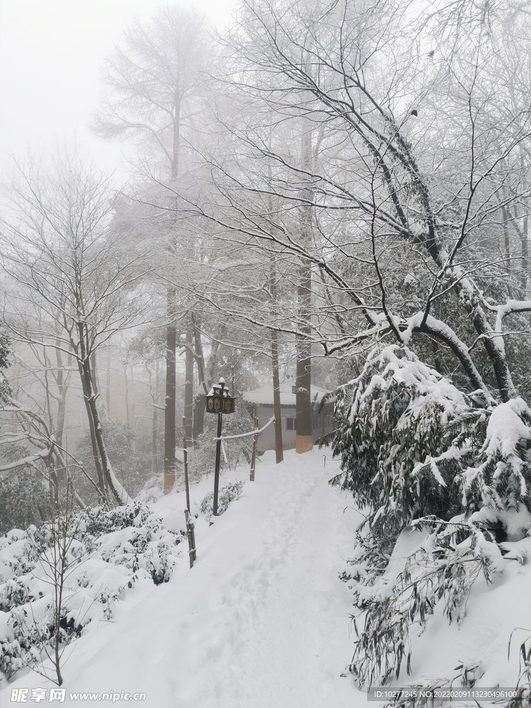 雪景